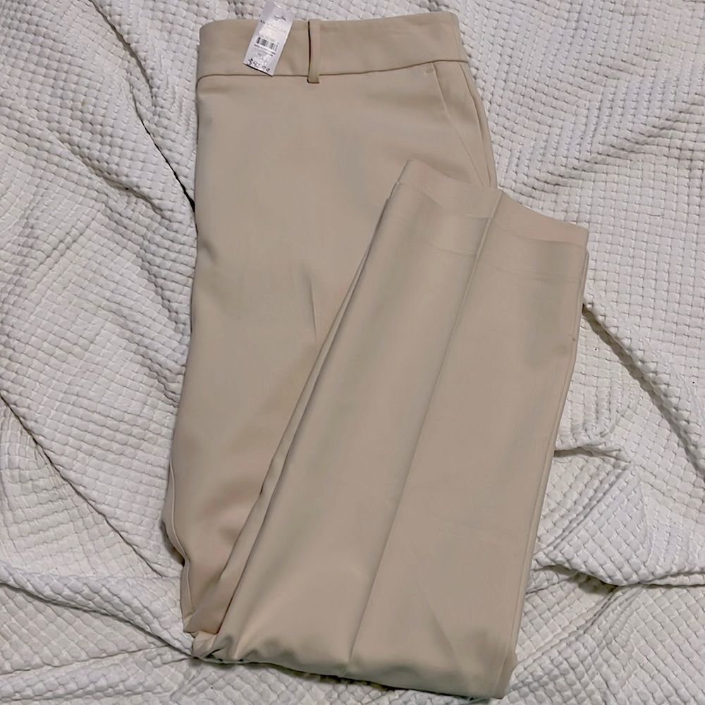 NWT- Ann Taylor - 16. The Straight